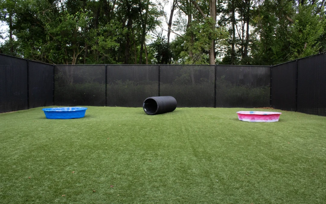 DayPlay outdoor area