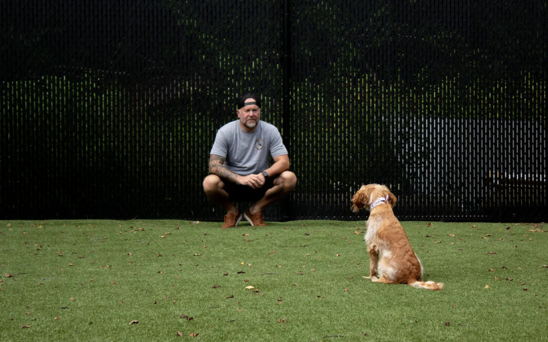 Larry Training Dog Outdoor