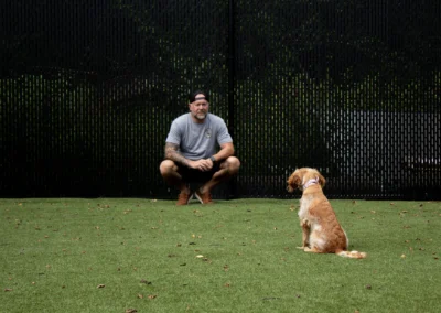 Larry Training Dog Outdoor