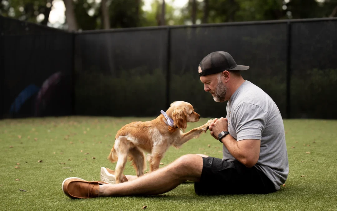 Larry Training Dog Outdoor