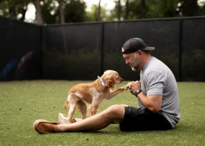 Larry Training Dog Outdoor