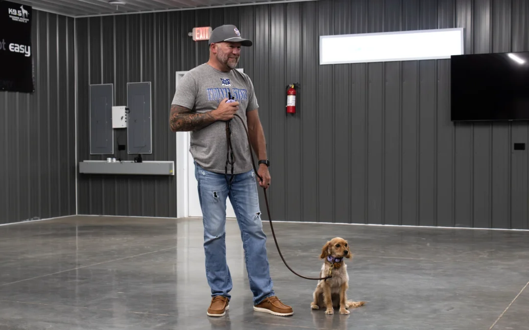 Larry Training Small Dog Indoor
