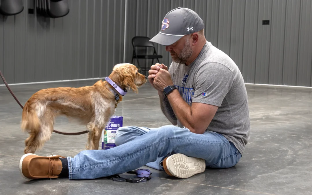 Larry Training Small Dog Indoor