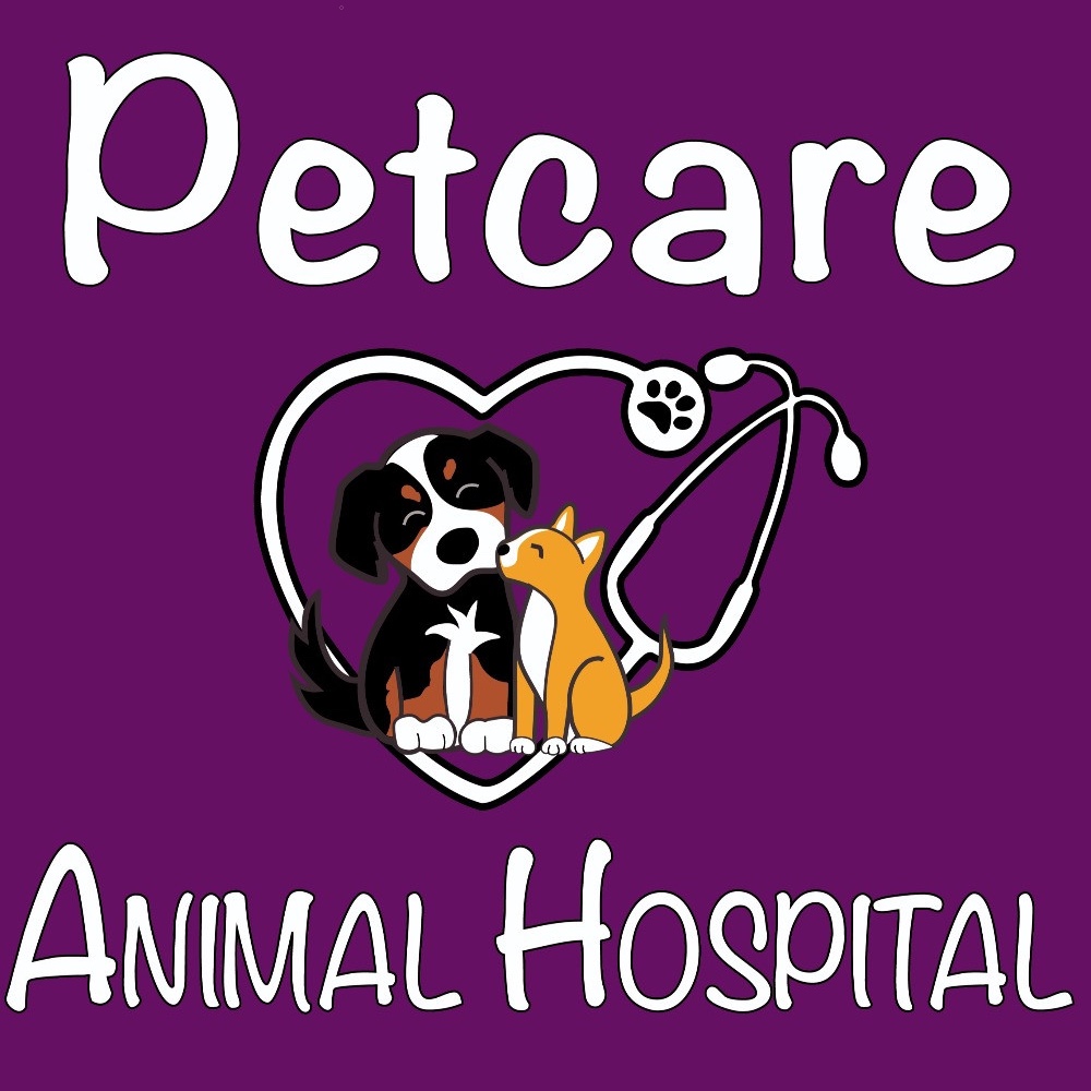 Petcare Animal Hospital Petcare Animal Hospital